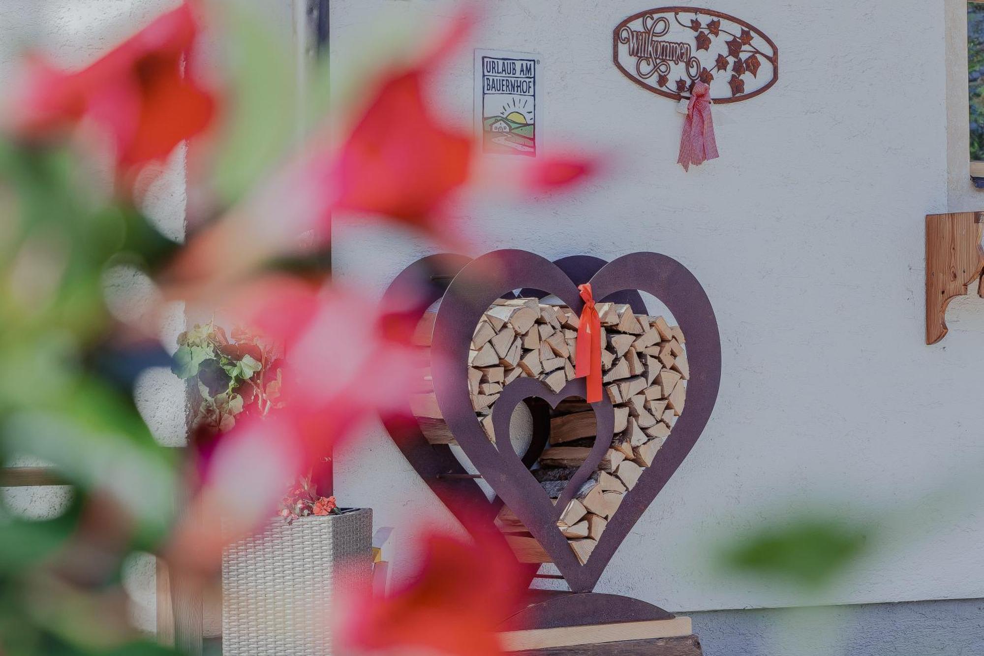 Appartement Arnoldgut Altenmarkt im Pongau Εξωτερικό φωτογραφία